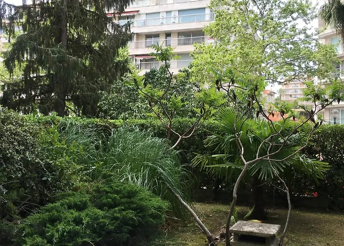 Апартаменты Studette De